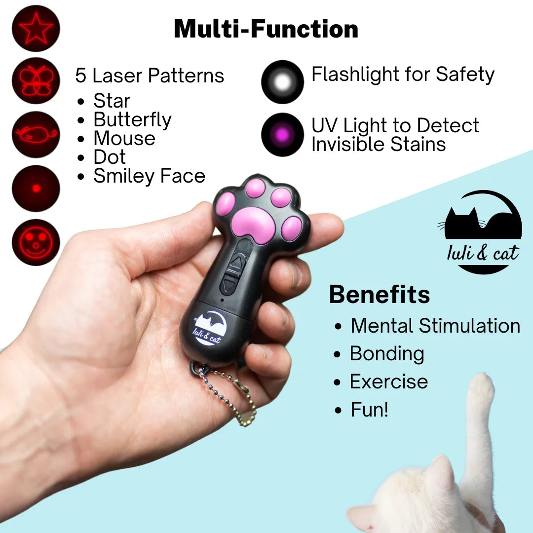 Cat Laser Toy | USB Rechargeable Laser Light Toy for Indoor Cats | Gift Set for Cat Lovers with Laser Cat Toy and Interactive Cat Toys